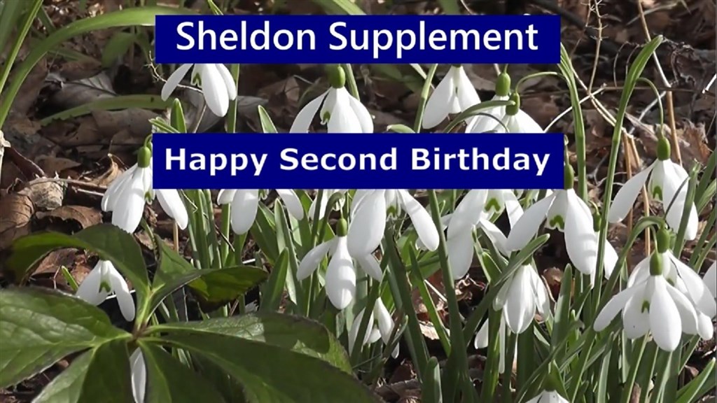 63 Sheldon Supp  Feb 5th