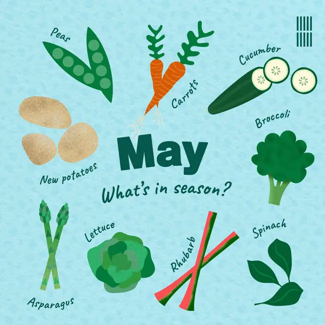 may food