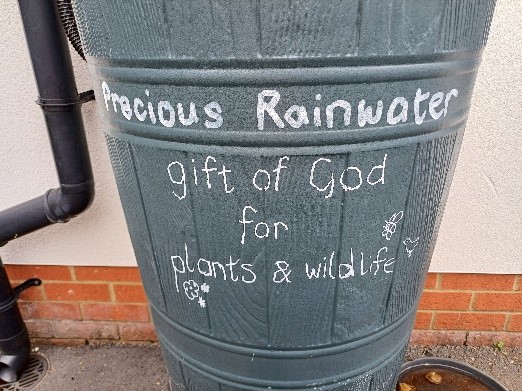 rainwater