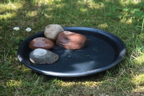 bird bath